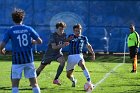 MSoc vs Springfield  Men’s Soccer vs Springfield College in the first round of the 2023 NEWMAC tournament. : Wheaton, MSoccer, MSoc, Men’s Soccer, NEWMAC